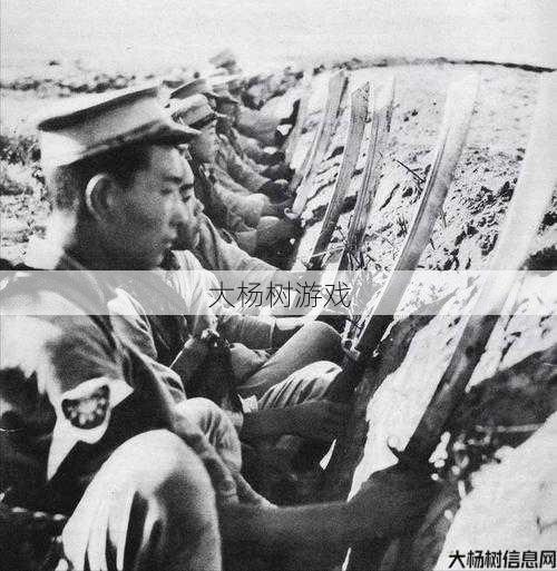 最新奇迹私服发布网骨灰技巧:战斗壦一个武装神奇的新时代 第2张