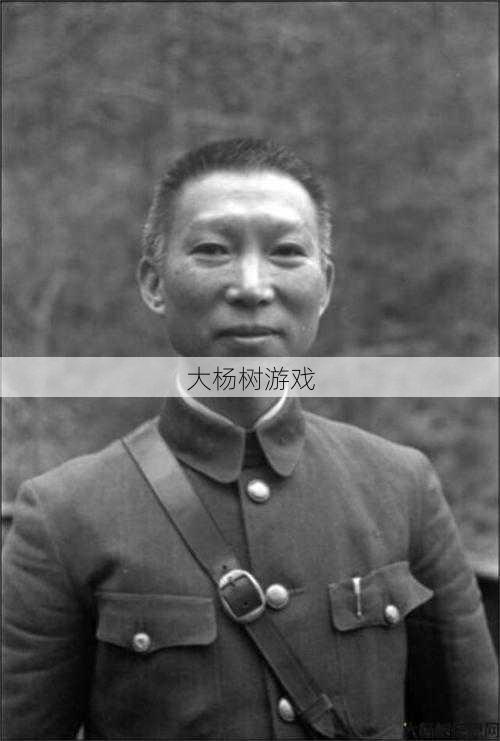 最新梦幻私服技术:大唐虎贲上将，历经千难万险 第2张