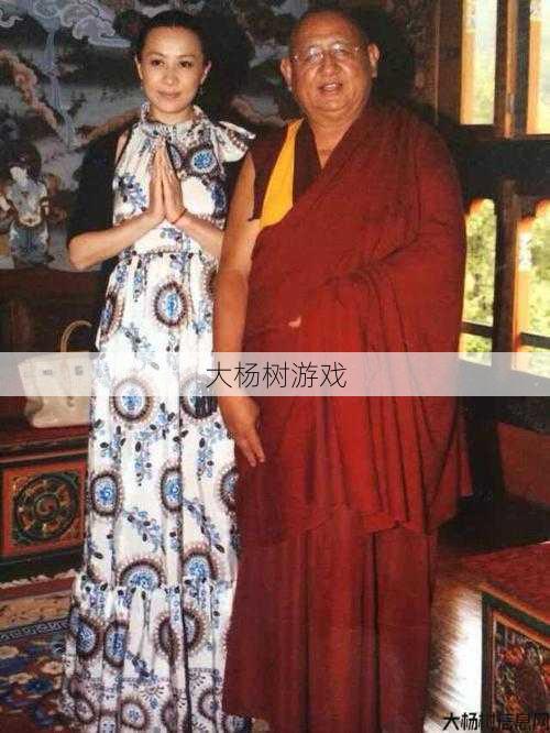 魔兽公益服分析:魔兽世界朝圣的困境攻略,魔兽世界朝圣：解决难关！! 第2张