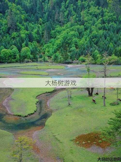 破天一剑游戏sf全面解密! 迷失秘境：破天一剑神墓6层离奇失踪之谜 第1张