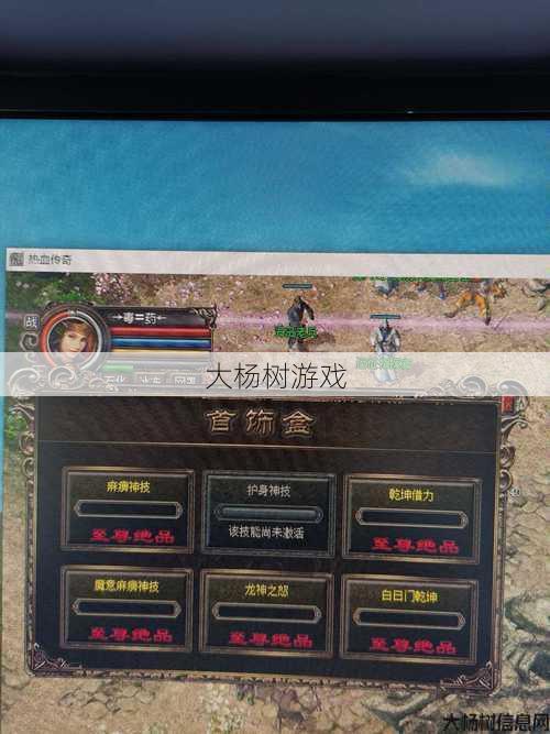 热血传奇刺客升级攻略完整集合 第1张