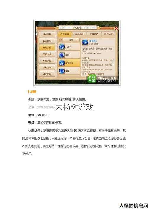 梦幻西游龙宫新手攻略分享 第2张