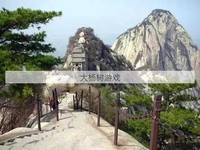 达摩升天王——独闯峨眉山再展英雄本色