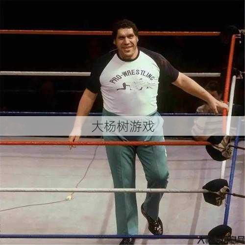 最新奇迹游戏私服发布网骨灰详解， “奇迹圣导师”应选择哪种盾牌？——SEO编辑建议的新 第1张