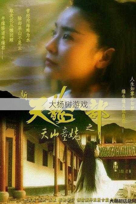 新开天龙游戏私服全面攻略、 天龙八部天山童姥背景音乐 第1张