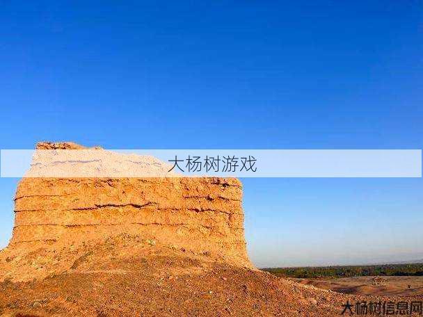 名扬天下专栏206期 惊艳风采 第2张