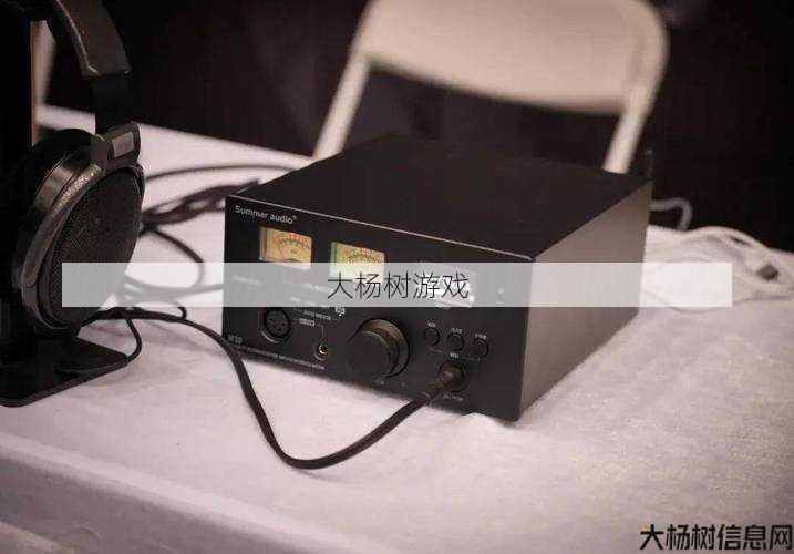 天音技巧攻略详尽解析 第2张