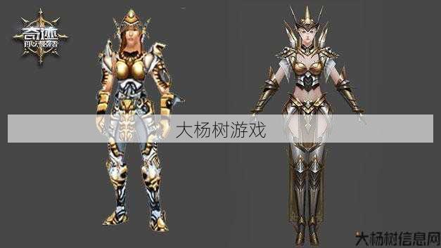 奇迹弓箭手洞装,弓箭手洞装奇迹-完美配装! 第1张