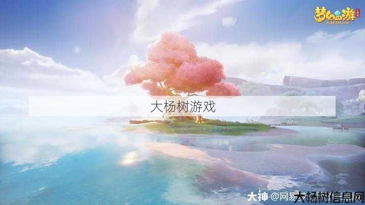 梦幻西游逍遥生：绝美风景尽收眼底 第2张