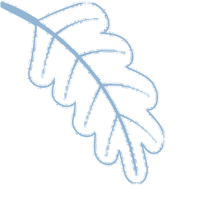 2022最全！地下城剑魂人物名大全