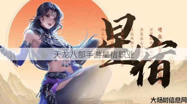 天龙八部手游星宿职业 第1张