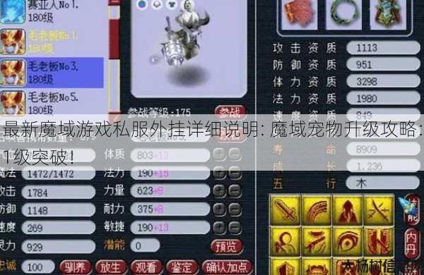 最新魔域游戏私服外挂详细说明: 魔域宠物升级攻略：1级突破！ 第1张