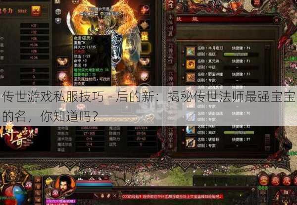 传世游戏私服技巧 - 后的新：揭秘传世法师最强宝宝的名，你知道吗？ 第1张