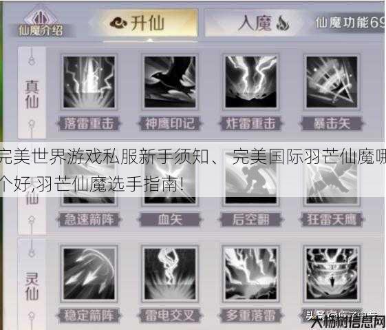 完美世界游戏私服新手须知、 完美国际羽芒仙魔哪个好,羽芒仙魔选手指南!
