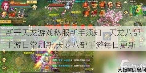 新开天龙游戏私服新手须知 - 天龙八部手游日常刷新,天龙八部手游每日更新 第1张