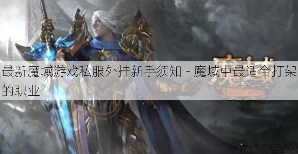最新魔域游戏私服外挂新手须知 - 魔域中最适合打架的职业 第1张