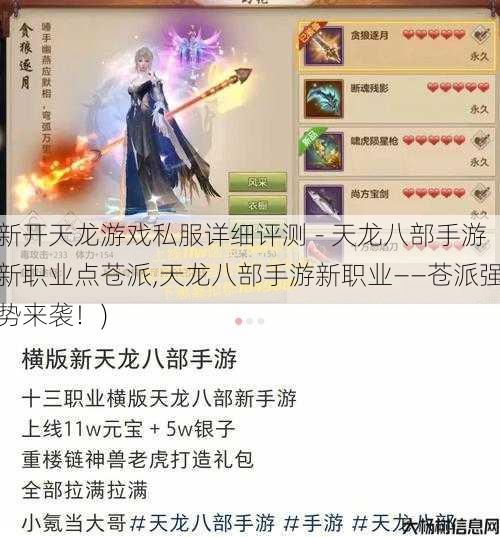 新开天龙游戏私服详细评测 - 天龙八部手游新职业点苍派,天龙八部手游新职业——苍派强势来袭！) 第1张