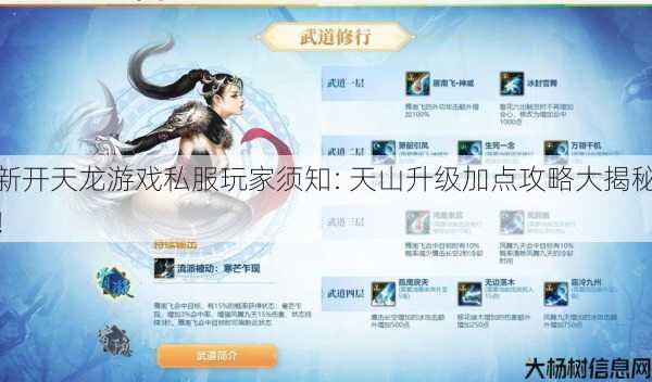 新开天龙游戏私服玩家须知: 天山升级加点攻略大揭秘！ 第1张