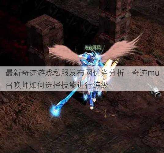 最新奇迹游戏私服发布网优劣分析 - 奇迹mu召唤师如何选择技能进行练级 第1张