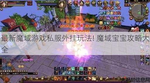 最新魔域游戏私服外挂玩法! 魔域宝宝攻略大全 第1张