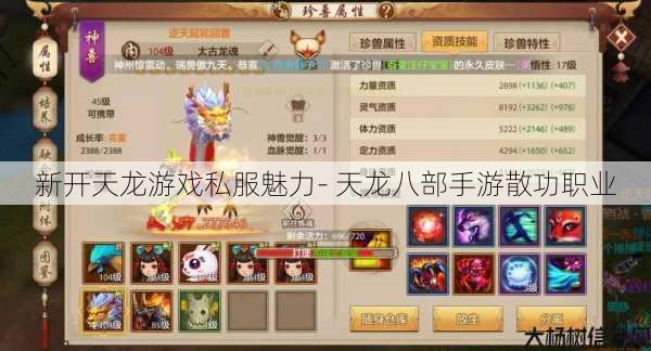 新开天龙游戏私服魅力- 天龙八部手游散功职业 第1张