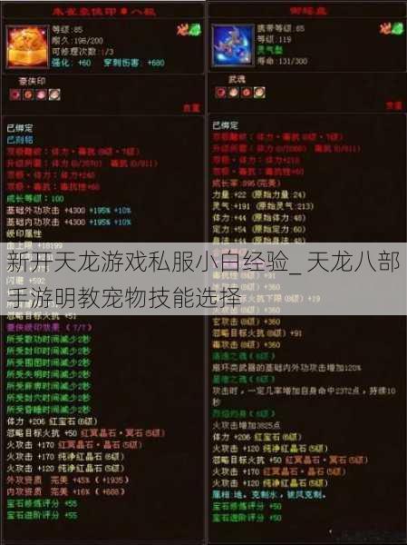 新开天龙游戏私服小白经验_ 天龙八部手游明教宠物技能选择 第1张