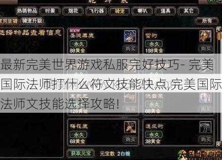 最新完美世界游戏私服完好技巧- 完美国际法师打什么符文技能快点,完美国际法师文技能选择攻略! 第1张