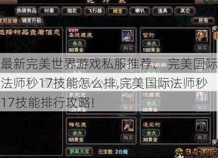 最新完美世界游戏私服推荐、 完美国际法师秒17技能怎么排,完美国际法师秒17技能排行攻略! 第1张