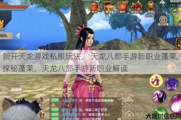 新开天龙游戏私服玩法, 天龙八部手游新职业蓬莱,探秘蓬莱,天龙八部手游新职业解读 第1张 新开天龙游戏私服玩法, 天龙八部手游新职业蓬莱,探秘蓬莱,天龙八部手游新职业解读 第1张