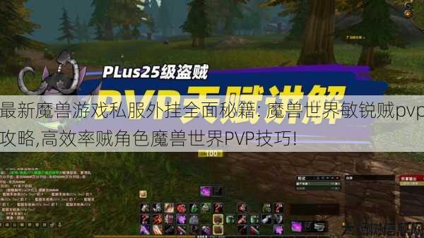 最新魔兽游戏私服外挂全面秘籍: 魔兽世界敏锐贼pvp攻略,高效率贼角色魔兽世界PVP技巧! 第1张