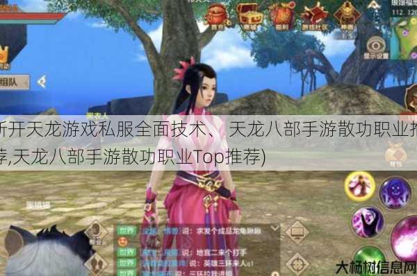 新开天龙游戏私服全面技术、 天龙八部手游散功职业推荐,天龙八部手游散功职业Top推荐) 第1张