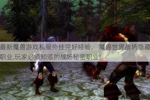 最新魔兽游戏私服外挂完好经验， 魔兽世界战场隐藏职业,玩家必须知道的战场秘密职业! 第1张