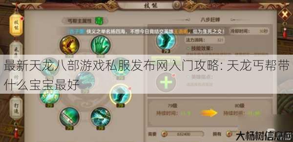 最新天龙八部游戏私服发布网入门攻略: 天龙丐帮带什么宝宝最好 第1张