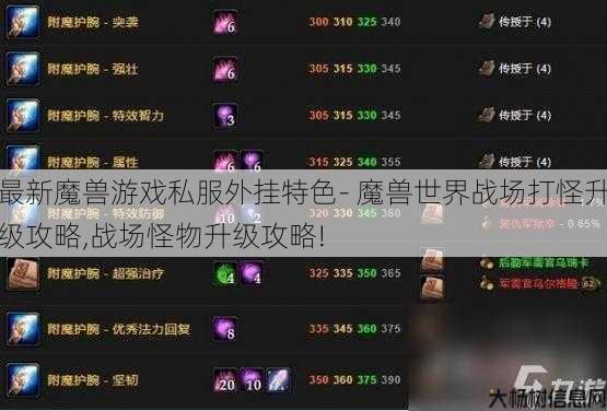 最新魔兽游戏私服外挂特色- 魔兽世界战场打怪升级攻略,战场怪物升级攻略! 第1张