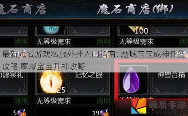 最新魔域游戏私服外挂入门指南: 魔域宝宝成神任务攻略,魔域宝宝升神攻略 第1张
