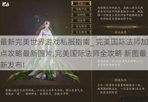 最新完美世界游戏私服指南_ 完美国际法师加点攻略最新图片,完美国际法师全攻略 新图最新发布! 第1张