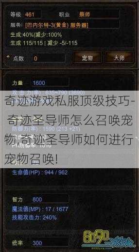 奇迹游戏私服顶级技巧- 奇迹圣导师怎么召唤宠物,奇迹圣导师如何进行宠物召唤! 第1张