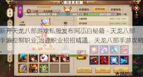 新开天龙八部游戏私服发布网小白秘籍 - 天龙八部手游控制职业,治理职业招招精通,天龙八部手游攻略。 第1张 新开天龙八部游戏私服发布网小白秘籍 - 天龙八部手游控制职业,治理职业招招精通,天龙八部手游攻略。 第1张