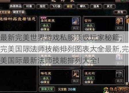 最新完美世界游戏私服顶级玩家秘籍， 完美国际法师技能排列图表大全最新,完美国际最新法师技能排列大全! 第1张