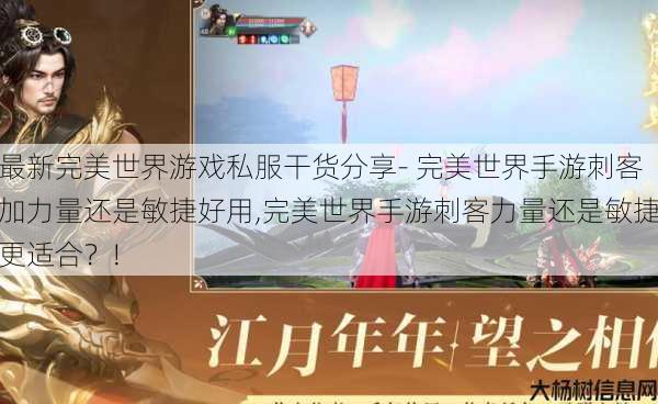 最新完美世界游戏私服干货分享- 完美世界手游刺客加力量还是敏捷好用,完美世界手游刺客力量还是敏捷更适合？! 第1张