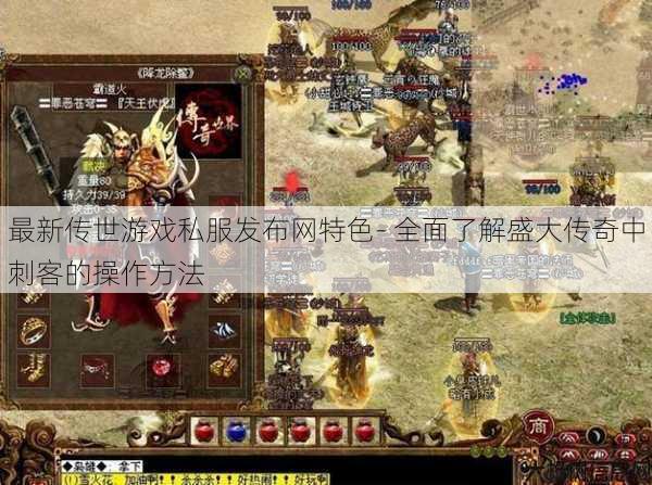 最新传世游戏私服发布网特色- 全面了解盛大传奇中刺客的操作方法 第1张