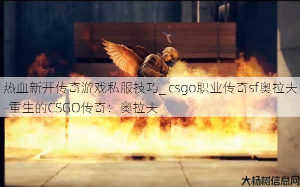 热血新开传奇游戏私服技巧_ csgo职业传奇sf奥拉夫-重生的CSGO传奇：奥拉夫