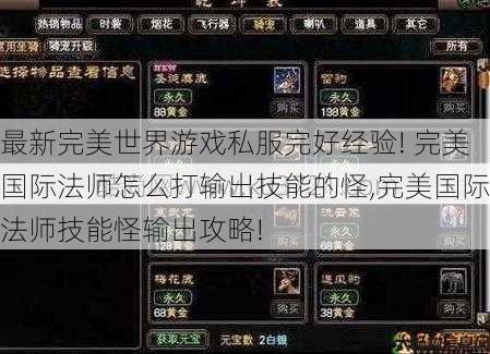最新完美世界游戏私服完好经验! 完美国际法师怎么打输出技能的怪,完美国际法师技能怪输出攻略! 第1张