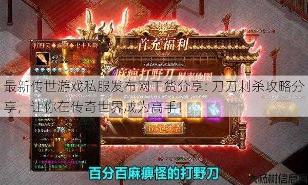 最新传世游戏私服发布网干货分享: 刀刀刺杀攻略分享，让你在传奇世界成为高手！ 第1张