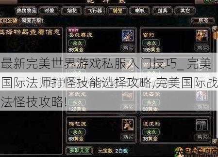 最新完美世界游戏私服入门技巧_ 完美国际法师打怪技能选择攻略,完美国际战法怪技攻略! 第1张 最新完美世界游戏私服入门技巧_ 完美国际法师打怪技能选择攻略,完美国际战法怪技攻略! 第1张