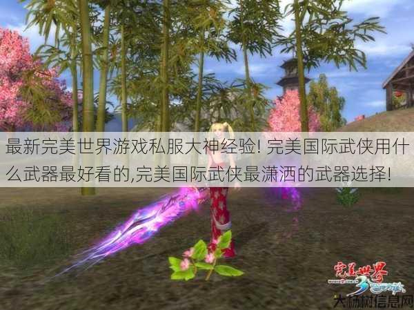 最新完美世界游戏私服大神经验! 完美国际武侠用什么武器最好看的,完美国际武侠最潇洒的武器选择! 第1张