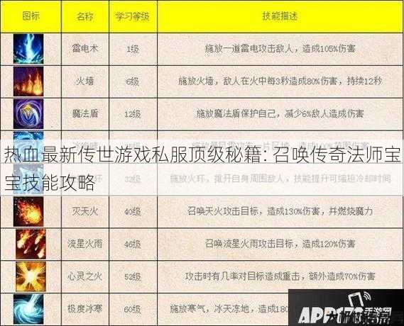 热血最新传世游戏私服顶级秘籍: 召唤传奇法师宝宝技能攻略