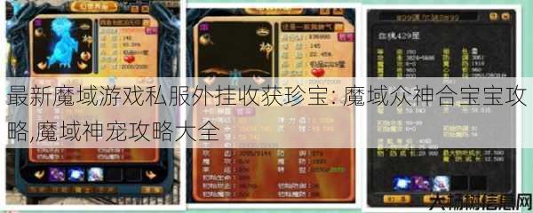 最新魔域游戏私服外挂收获珍宝: 魔域众神合宝宝攻略,魔域神宠攻略大全 第1张