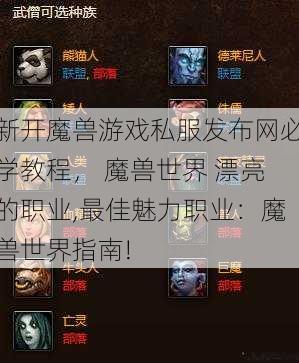 新开魔兽游戏私服发布网必学教程， 魔兽世界 漂亮的职业,最佳魅力职业：魔兽世界指南! 第1张