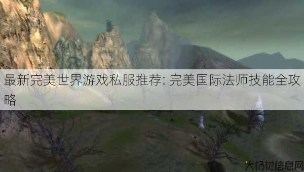 最新完美世界游戏私服推荐: 完美国际法师技能全攻略 第1张